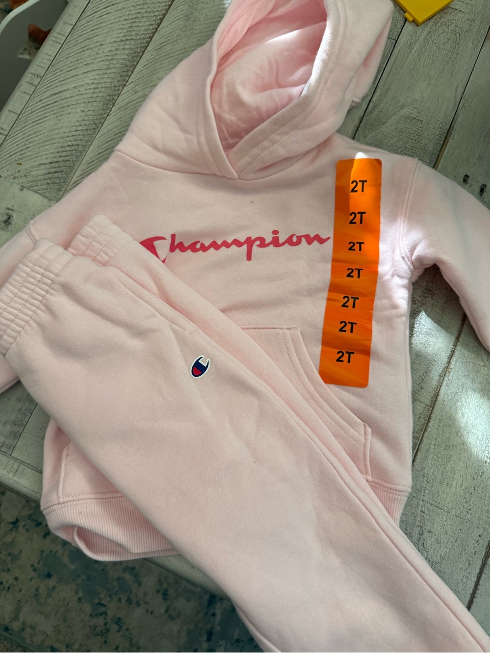 Champion Pink Toddler Hoodie and Sweatpants Set